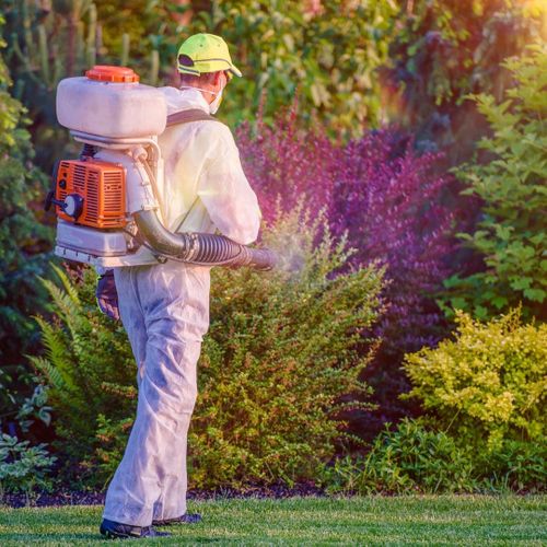 Pest control worker spraying bushes