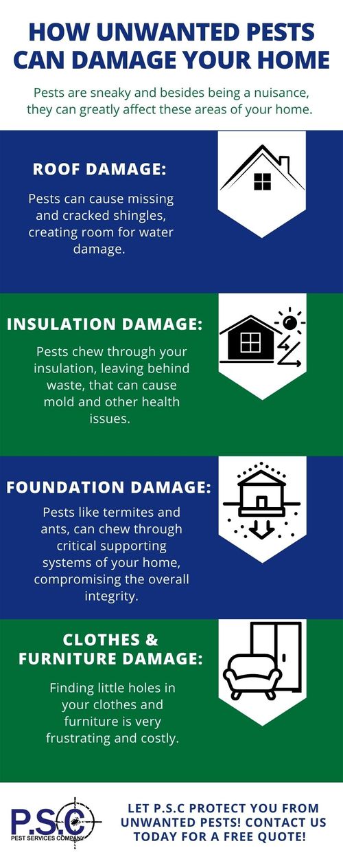 pest damage infographic