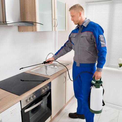 pest control employee spraying in a kitchen