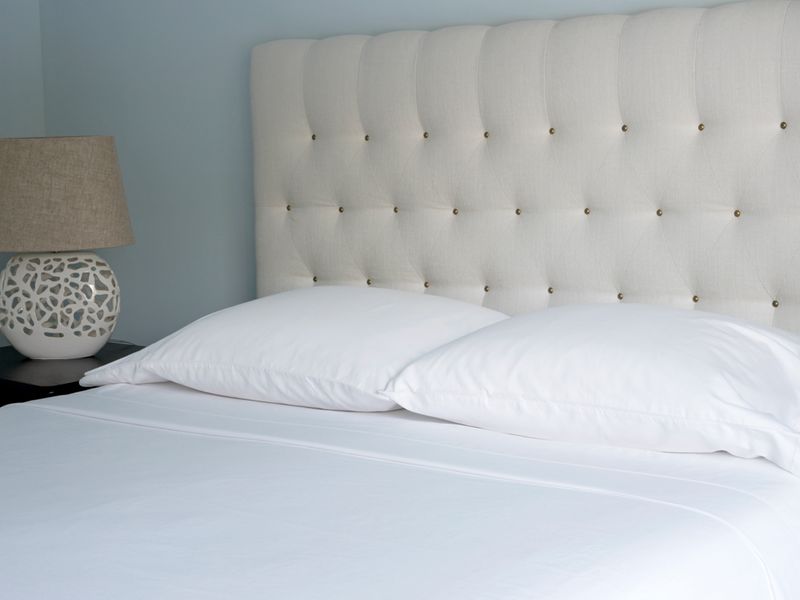 Dc Bedbug Removal Effective Solutions, Bed Bugs In Upholstered Headboard