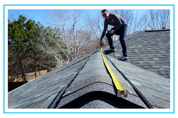 Cooke County - 4.png