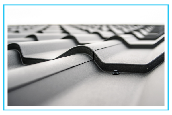 Cooke County - 2.png