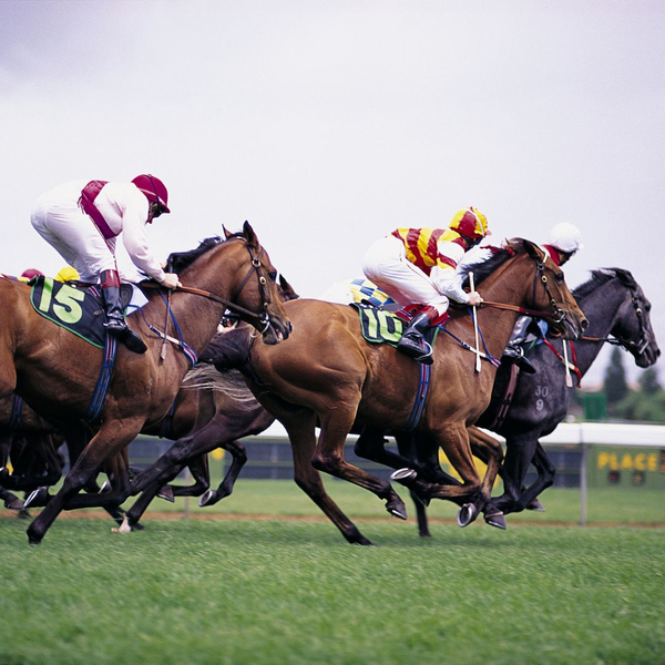 equestrian horse racing