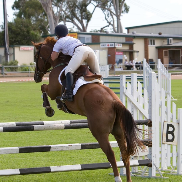 woman jumping horse in competition