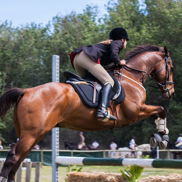 Girl riding horse