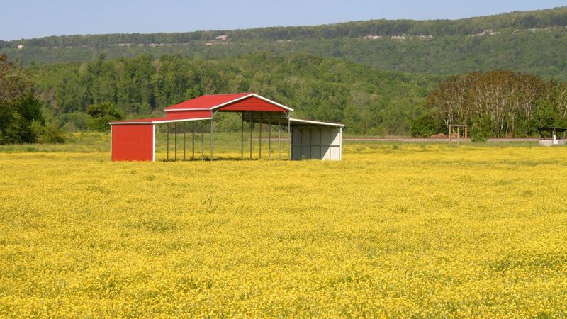 How to Maintain Your Metal Building for Longevity and Value - Hero.jpg
