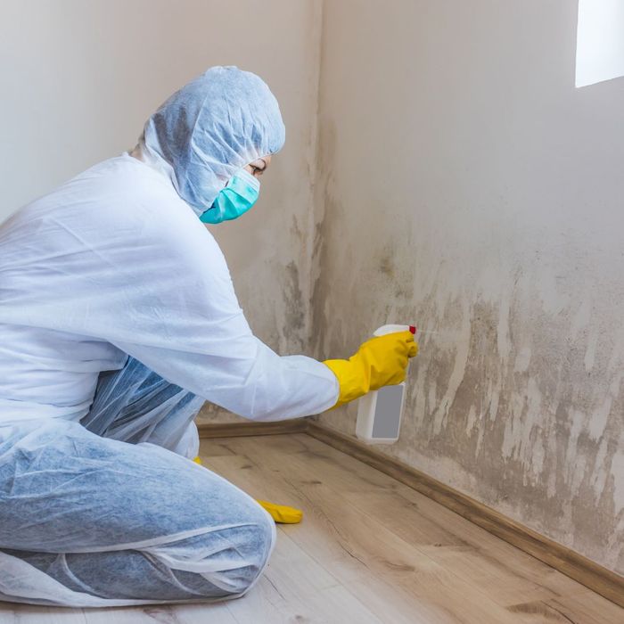 a person in safety gear spraying a moldy wall