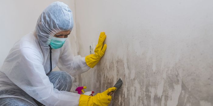 cleaning up mold