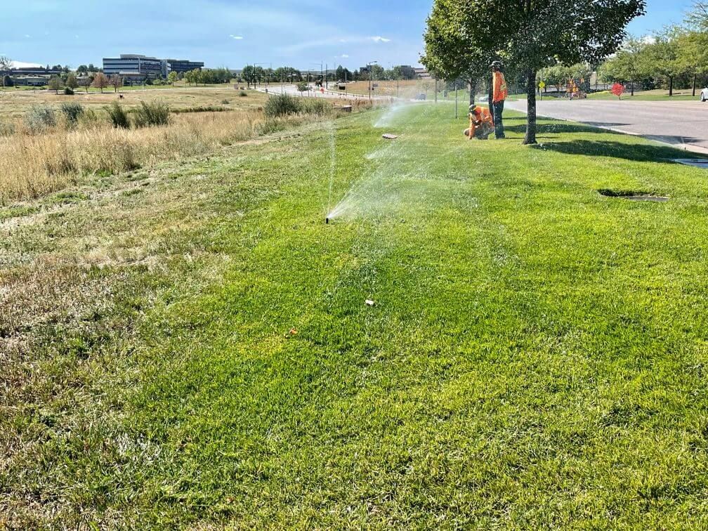 workers adjusting sprinklers on a strip of landscaping with trees