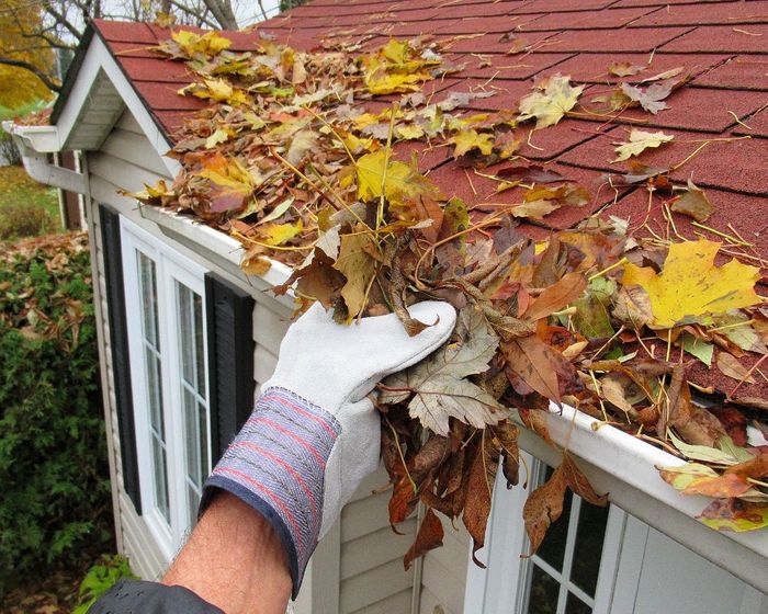 Leaves being cleaned from a gutter