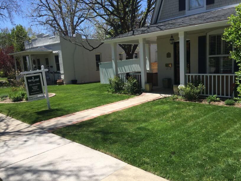 a well maintained lawn with hardscaped gardens