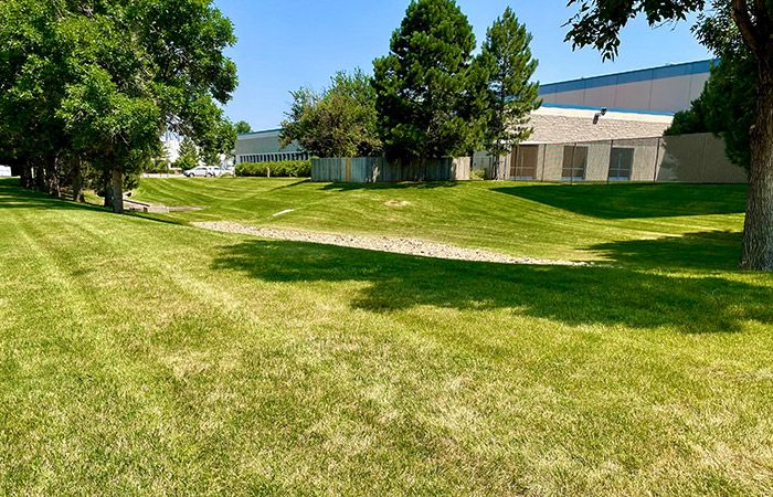 a large well cut commercial lawn on a hill