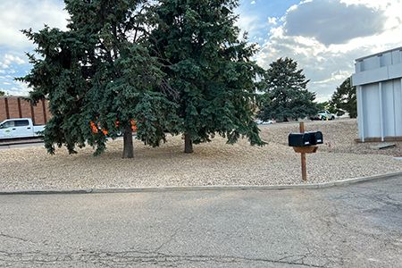 a hardscaped business corner with gravel under trees