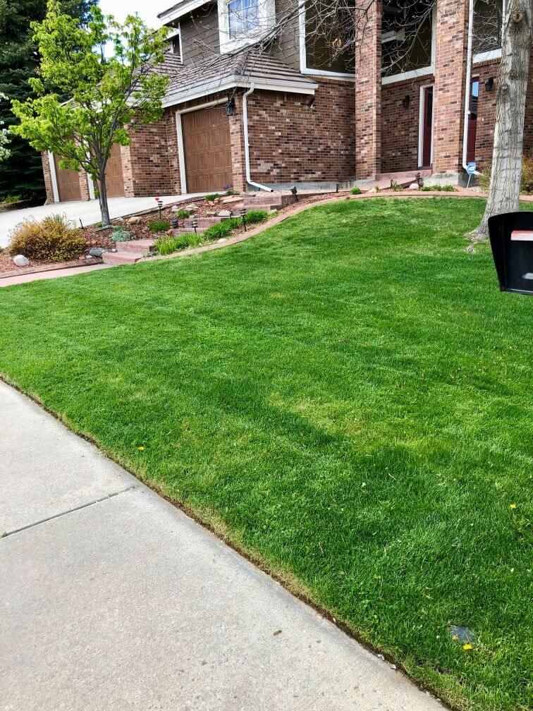 a green lawn with  hardscaped stairs