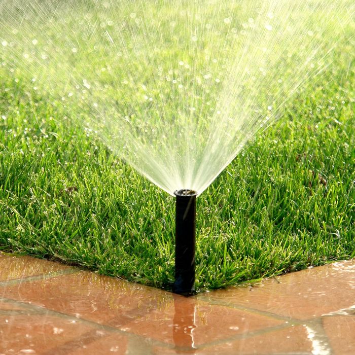 Choosing the Right Irrigation System for a Lush Denver Lawn This Summer - Social Post 2.jpg