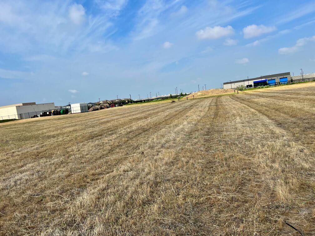 a field of dead grass before it has been maintained