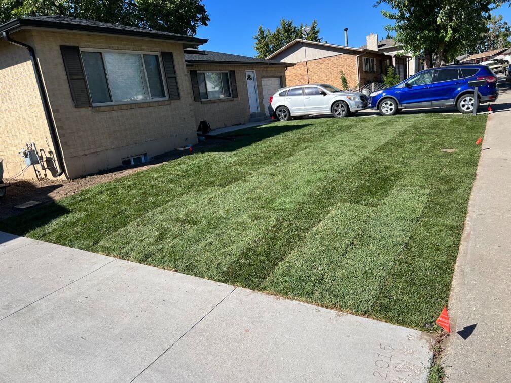 freshly laid sod on a lawn