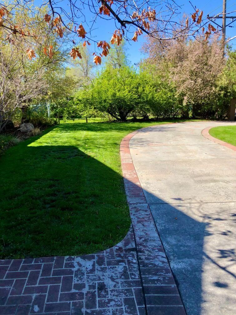 a well maintained lawn with many trees and a driveway