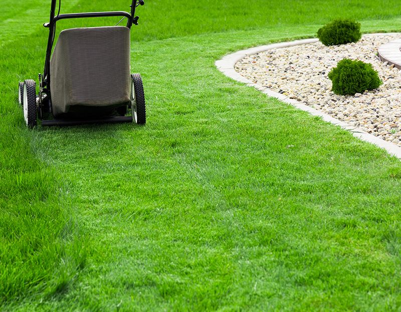 Lakewood lawn mower online repair