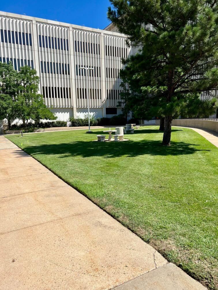 a large well cut commercial lawn 