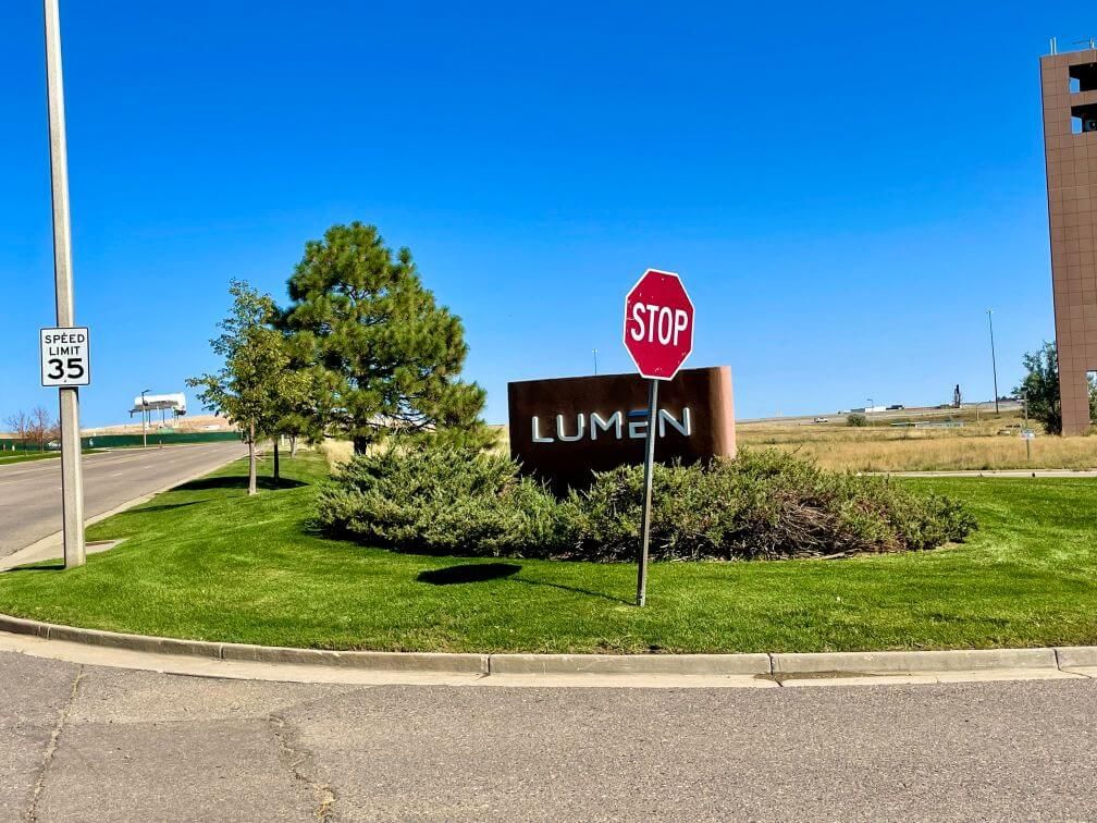 a maintained business corner with plants and grass