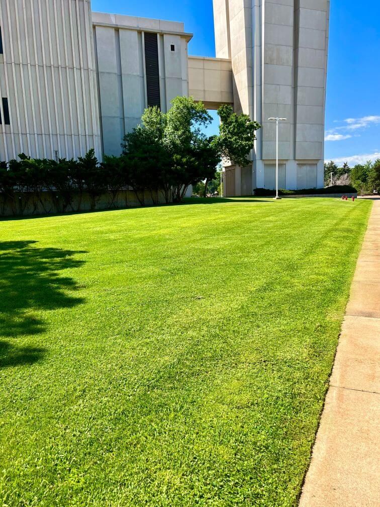 a large well cut commercial lawn