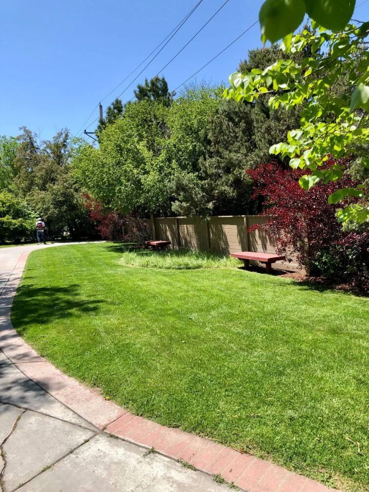 a well maintained sitting area with grass and trees