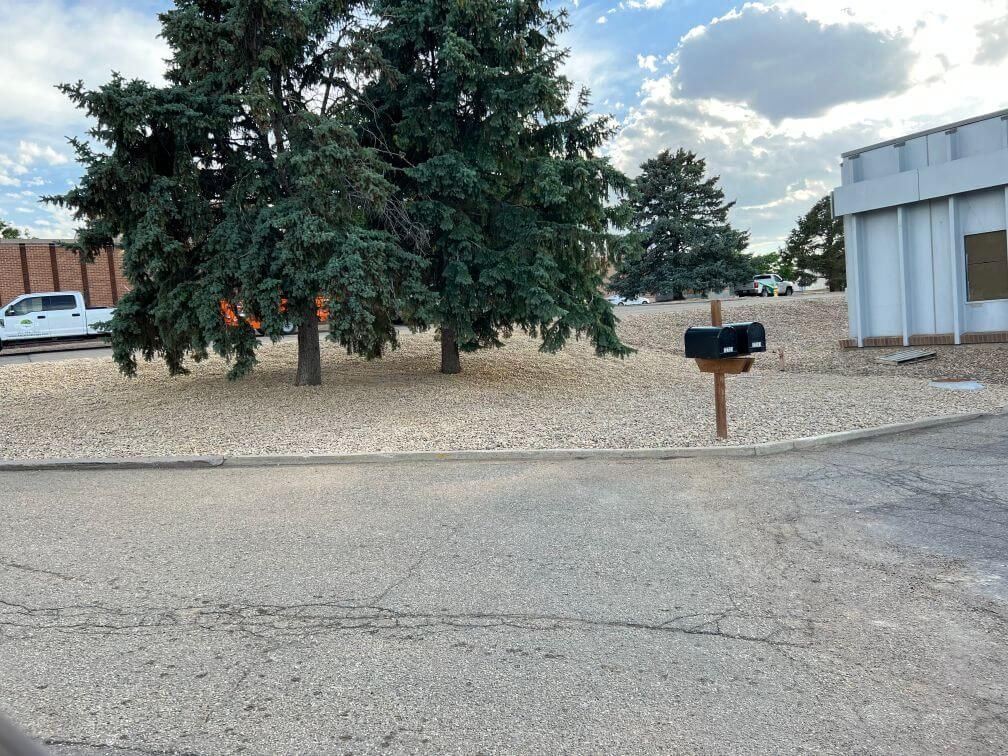 a hardscaped business corner with gravel under trees