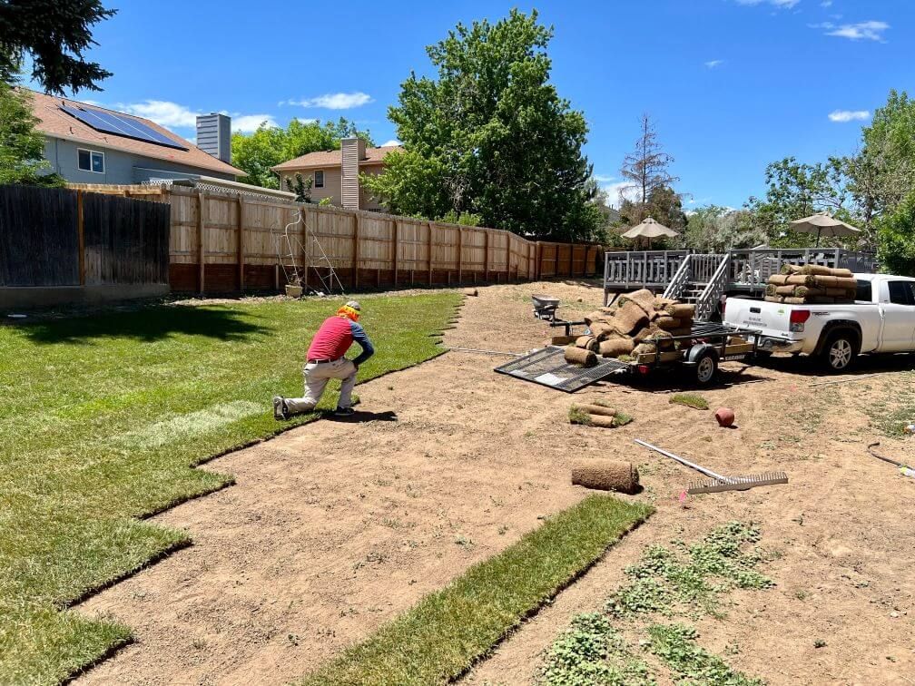 workers laying out new rolls of sod