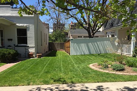 a well maintained lawn with hardscaped gardens