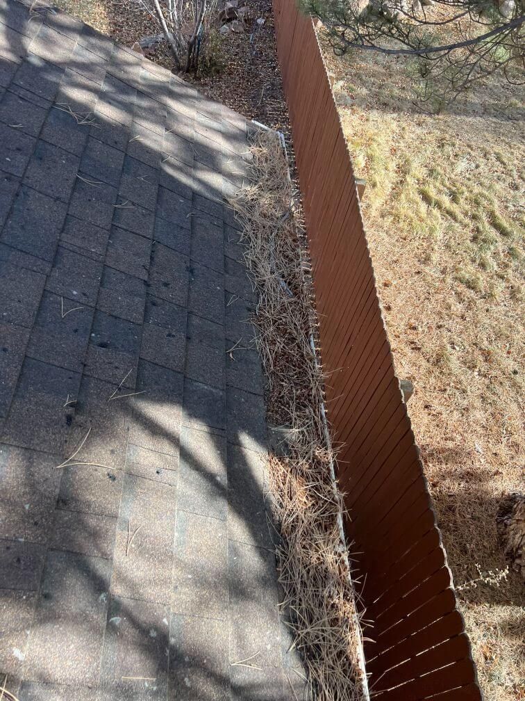 a before image of a roof and gutters filled with pine needles