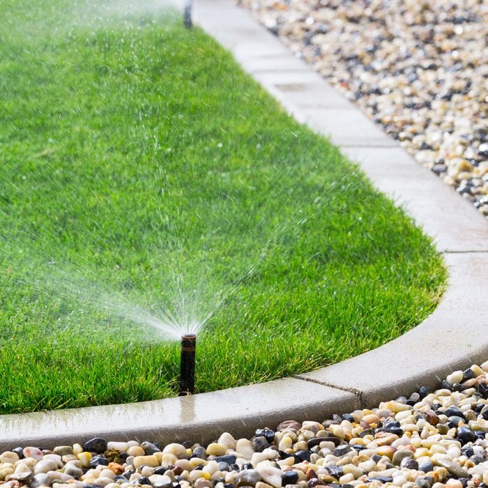 Choosing the Right Irrigation System for a Lush Denver Lawn This Summer - Social Post 4.jpg