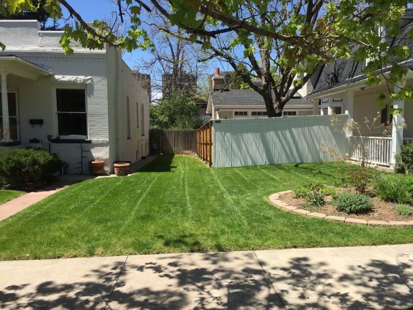 a well maintained lawn with hardscaped gardens