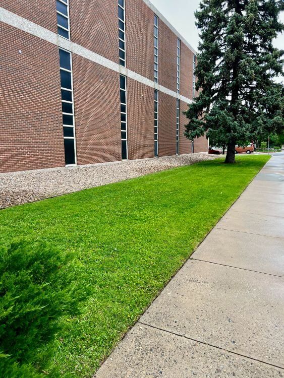 a large well cut commercial lawn