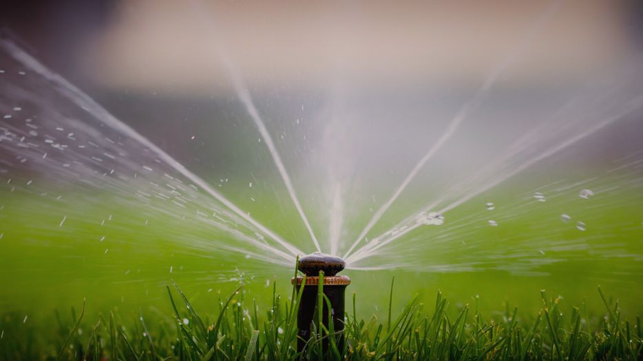 Choosing the Right Irrigation System for a Lush Denver Lawn This Summer.jpg