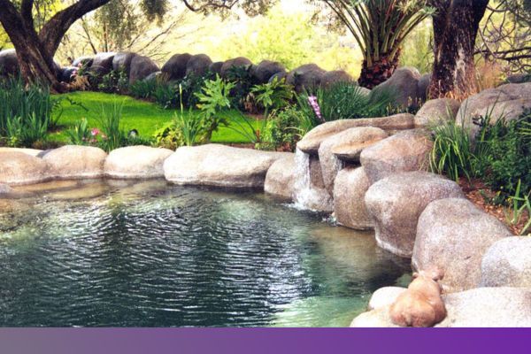 custom lagoon pool custom lagoon pool