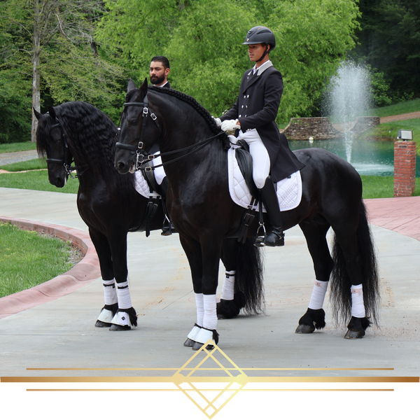 two well-dressed horse riders
