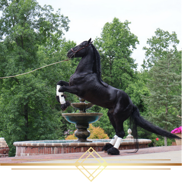 Photography Session Event Venue (5).png