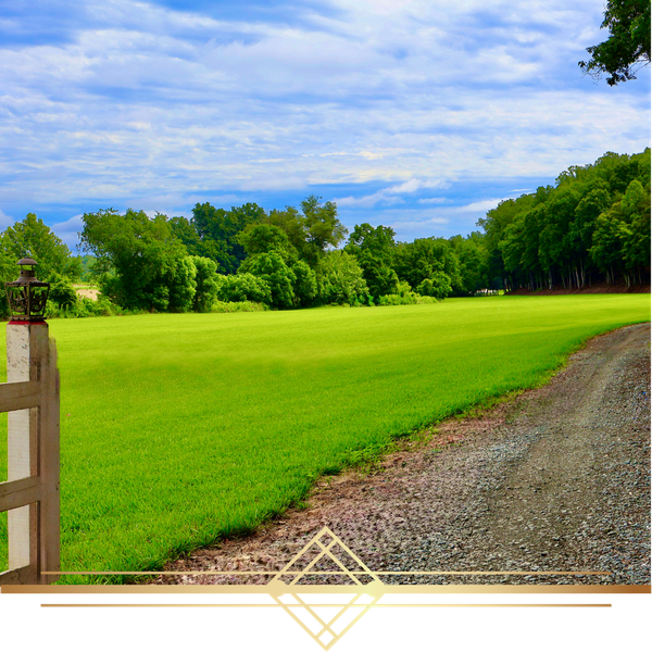 Graduation Venue 1.png