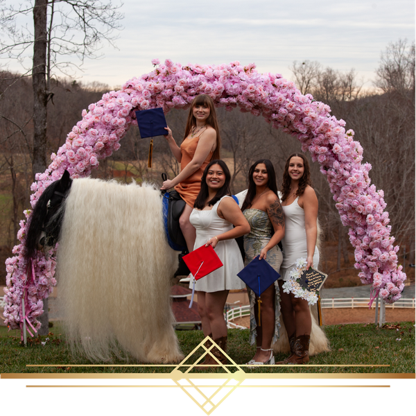 Graduation Venue 4.png