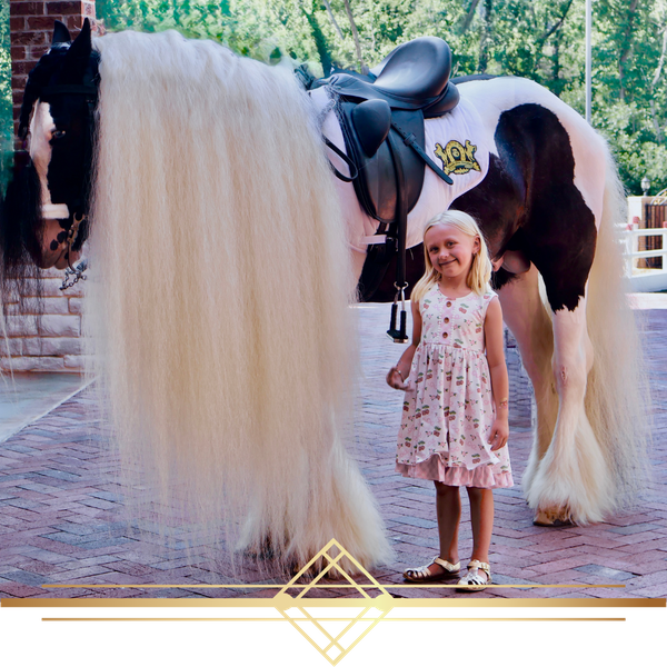 little girl standing next to horse with extremely long white mane