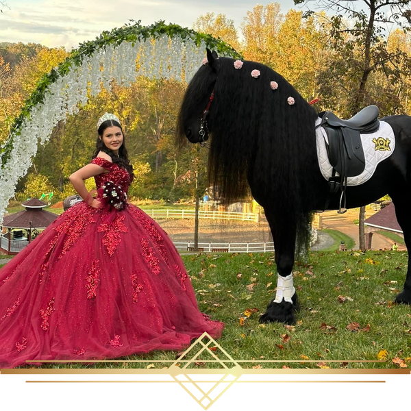quinceanera photoshoot