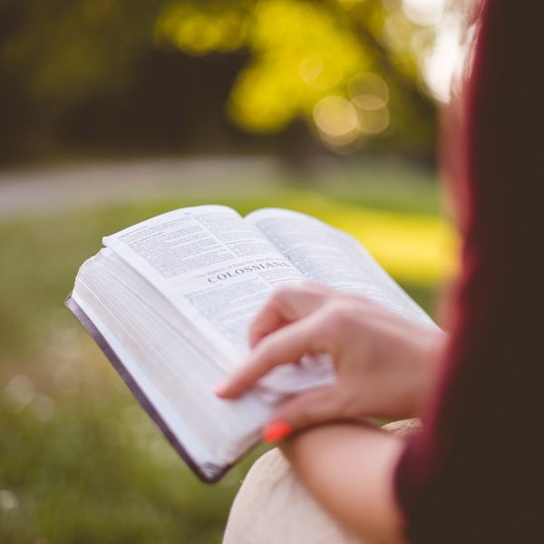 Person reading Bible outdoors with blurred background