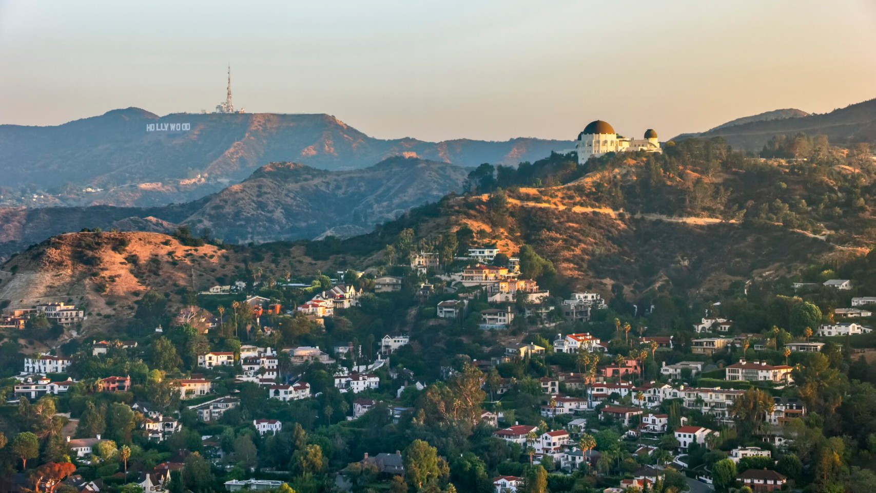 Hollywood Hills