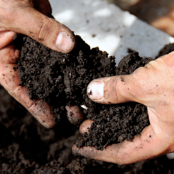 Someone performing a soil analysis