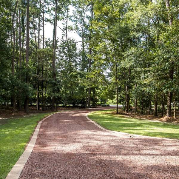 Tree roots damaging driveway Gainesville