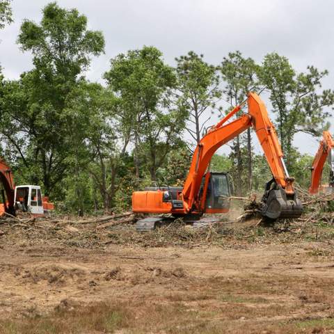 Brush Clearing and Commercial Land Clearing in Gainesville, FL