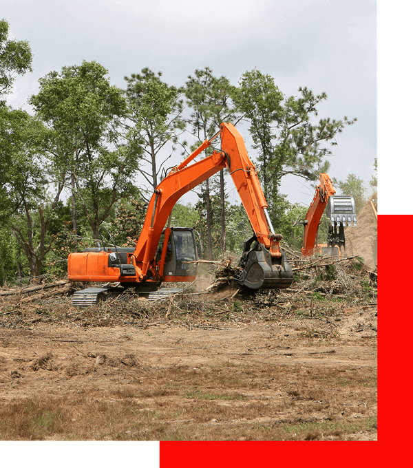 Backhoes operate clearing trees and brush from a construction site.