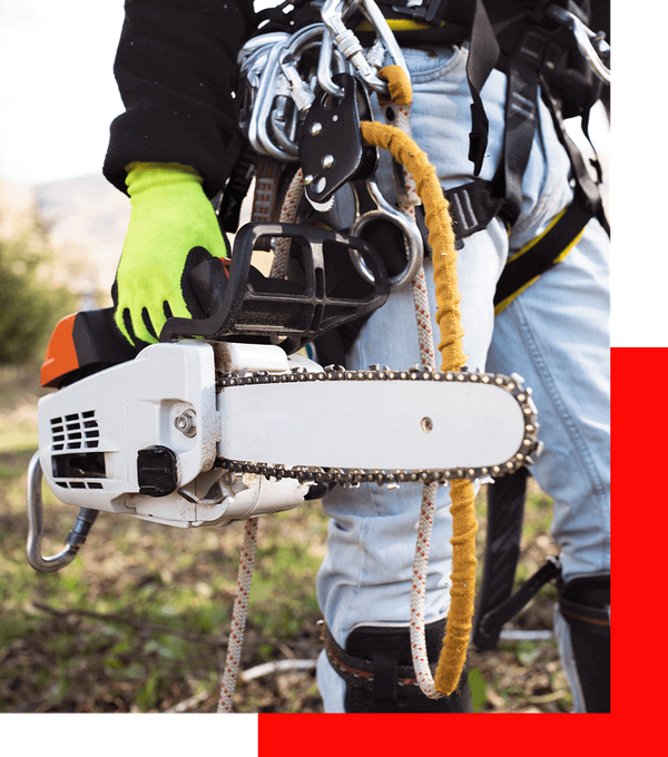a person in safety gear holding a chainsaw