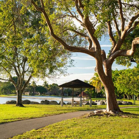 Tree trimming vs tree shaping